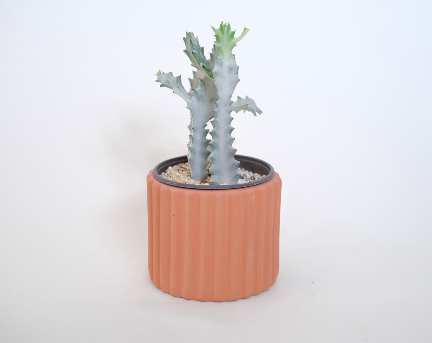 Maceta de Terracota Rayada