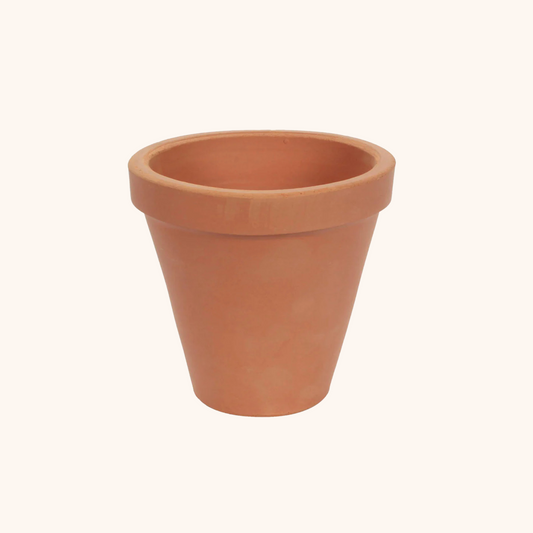 Maceta Vaso de terracota