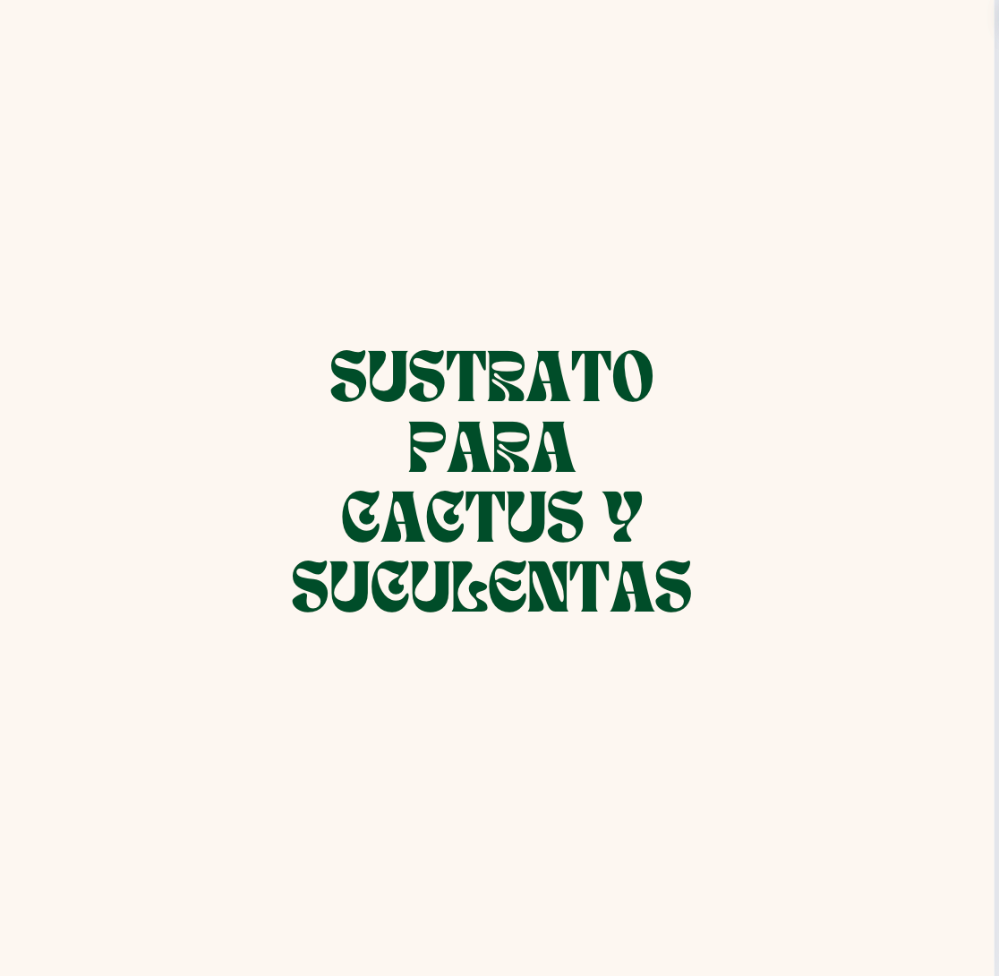 Mejor sustrato para cactus y suculentas