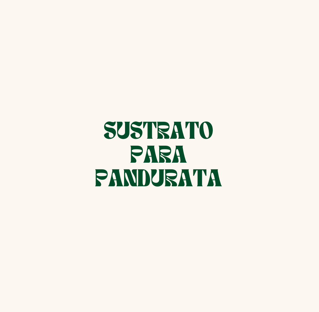 Tierra preparada para Pandurata