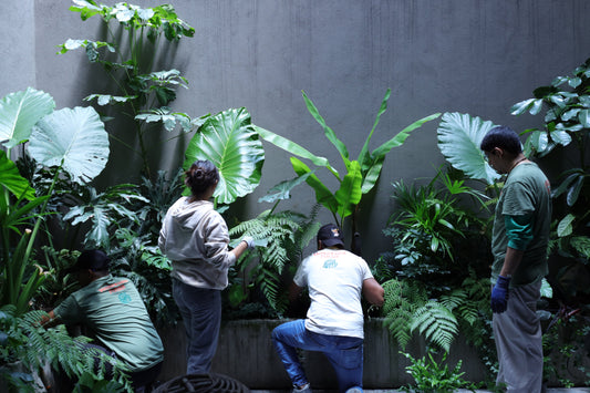 JARDINES RESIDENCIALES CDMX