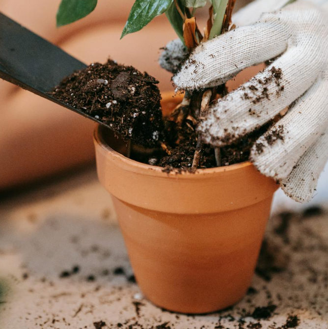 ¿Por qué elegir macetas de barro artesanales? Te lo cuento, folk