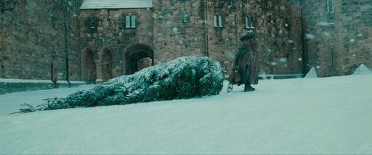 Tu Árbol de Navidad natural 101