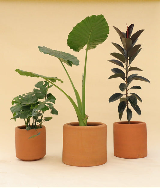 Maceta básica de barro