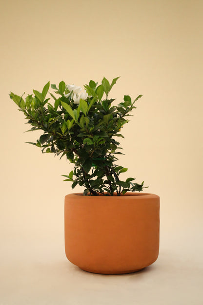 Maceta básica de barro