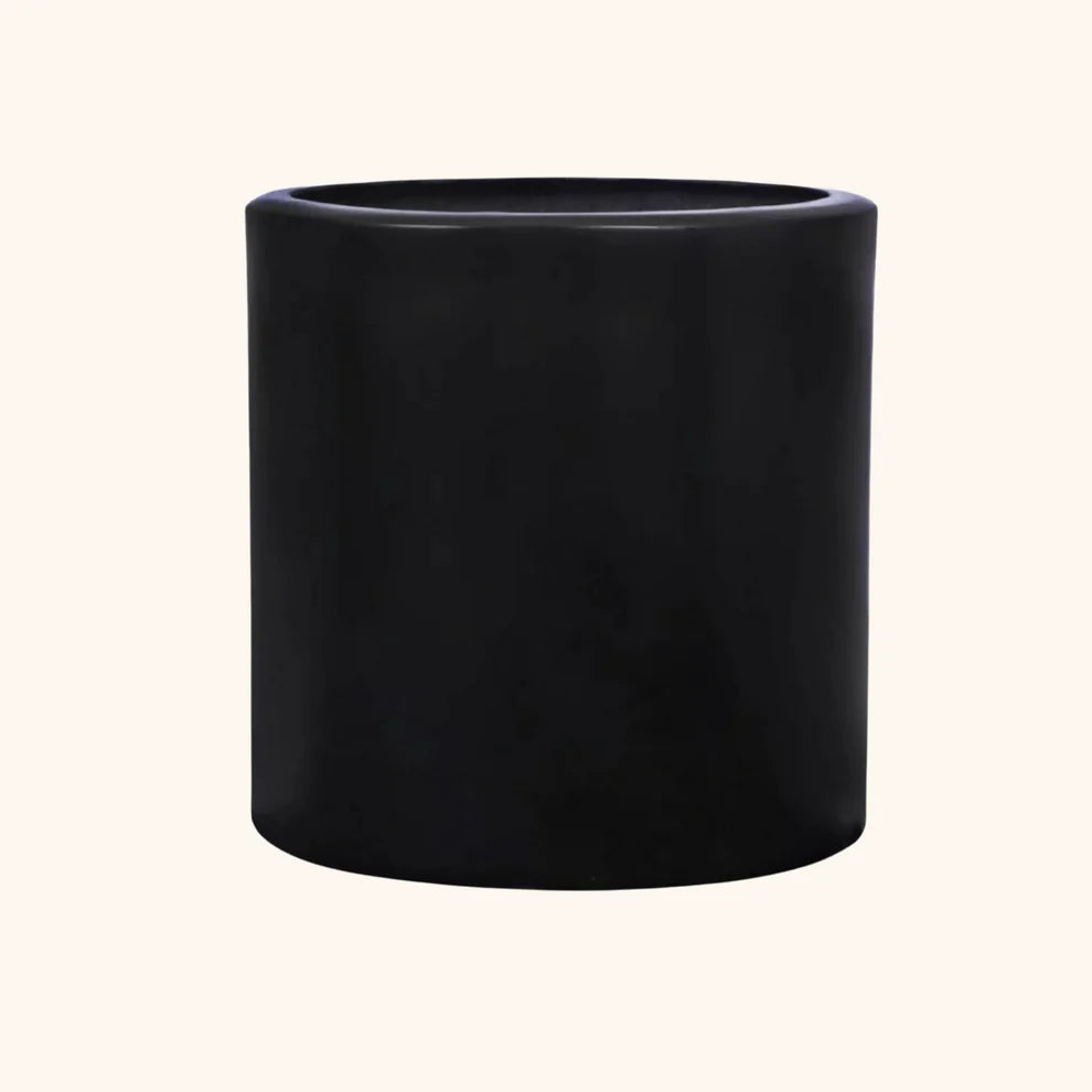 Ficus Pandurata o Lyrata