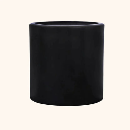 Ficus Hule Negro o Ficus Elástica