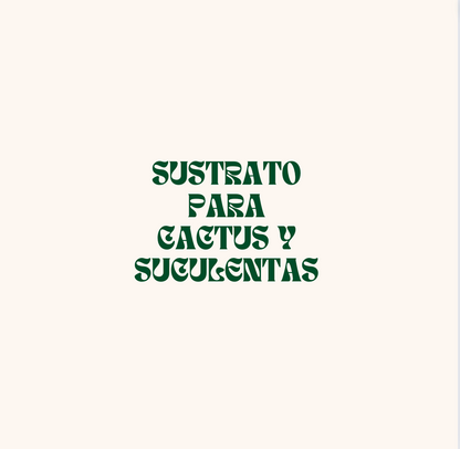 Mejor sustrato para cactus y suculentas