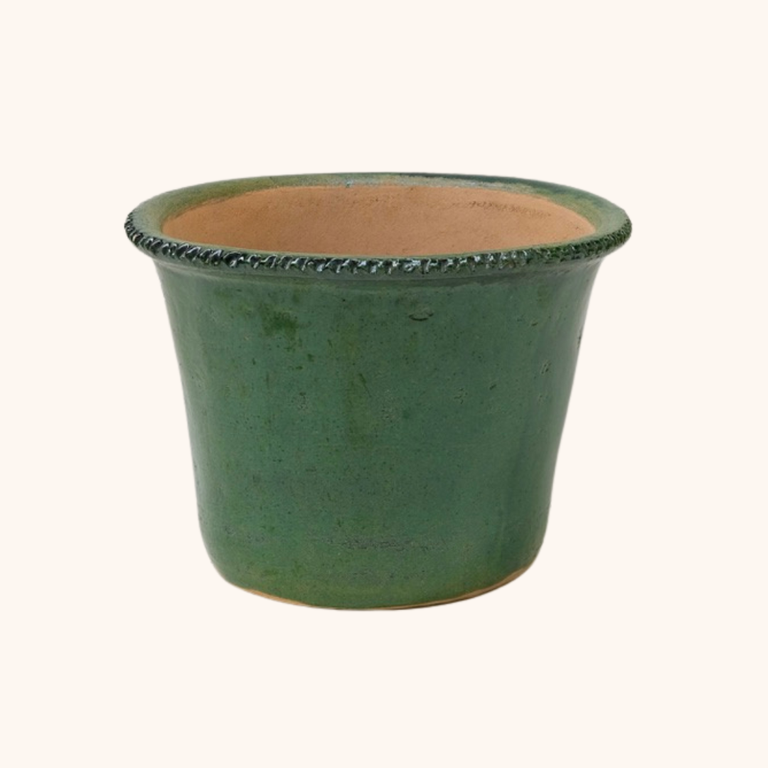 Maceta vaso Oaxaca